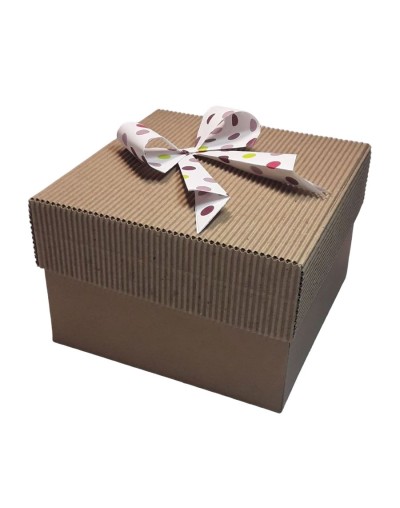 Caja grande tapa corrugada