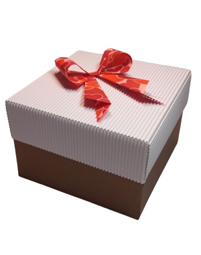 Caja grande tapa corrugada blanca