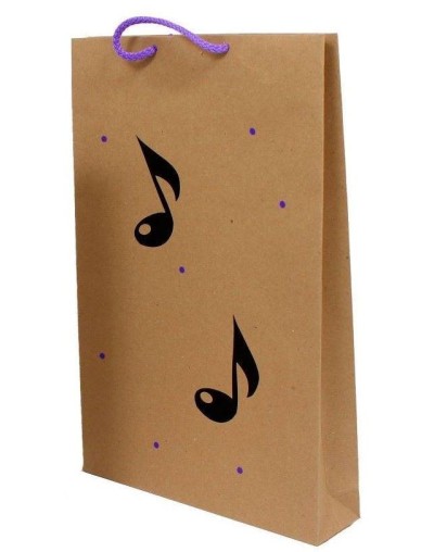 Bolsa kraft grande