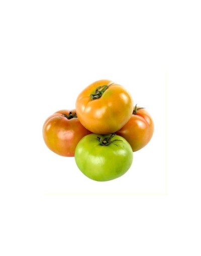 Tomate larga vida