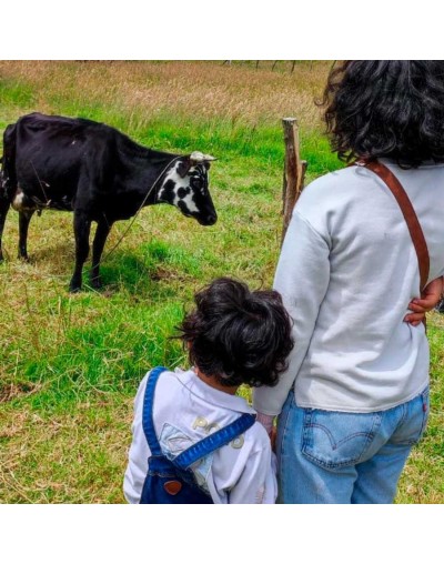 Recorrido ruraliando por bogotá