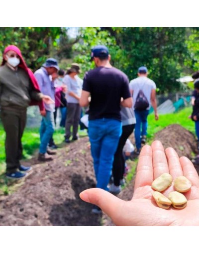 Recorrido de la huerta a la mesa