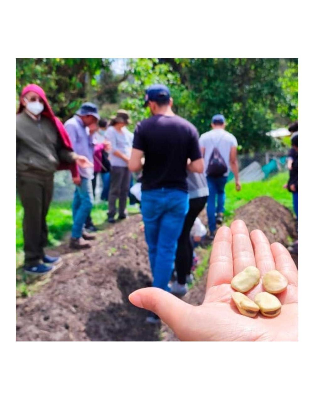 Recorrido de la huerta a la mesa