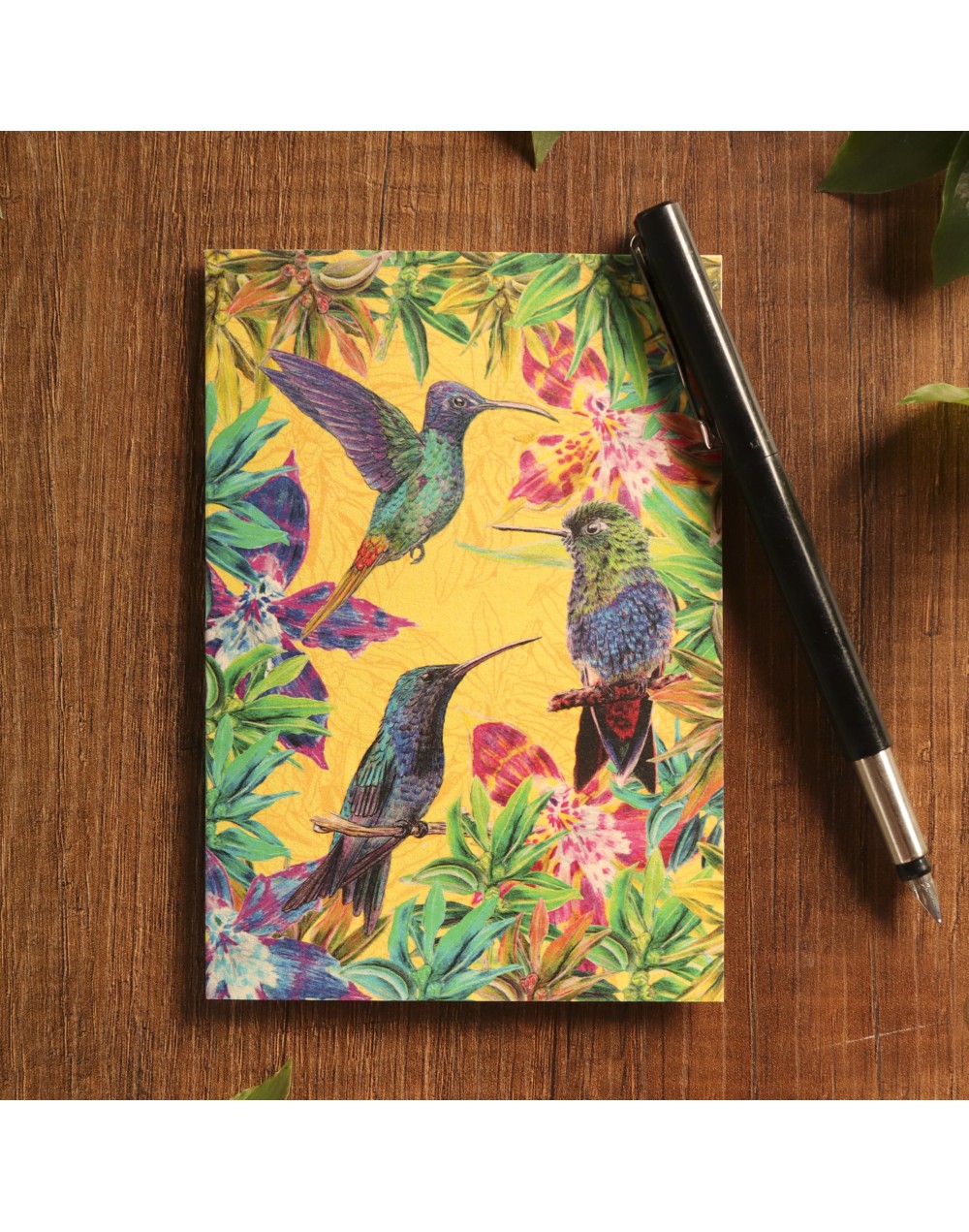 Pérgolas y Cubiertas