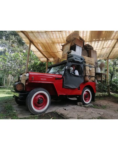 Visita finca de Café