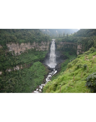 Visita finca de Café