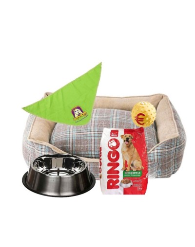 Regalo sorpresa 5