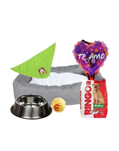 Regalo sorpresa 6