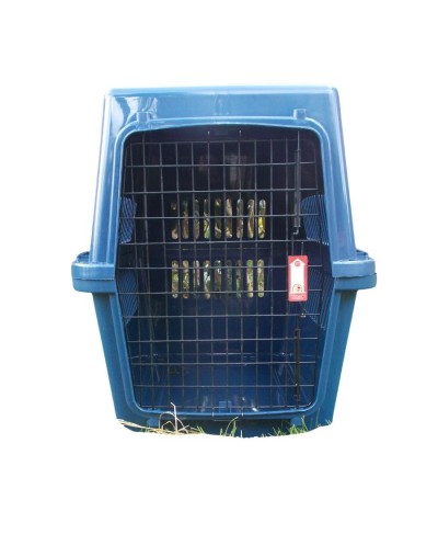 Guacal para perro - mascota talla 700n