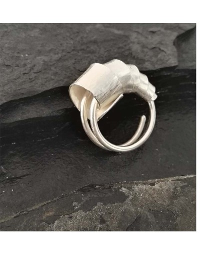 Anillo Crisálida