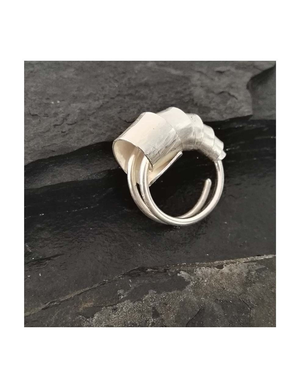 Anillo Crisálida