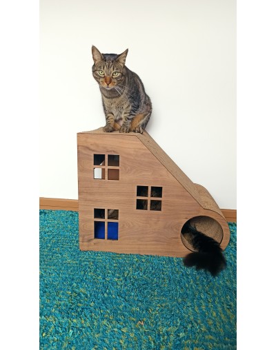 Rascador Catsa