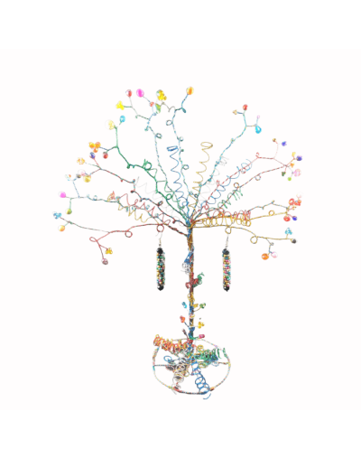 Árbol encanto