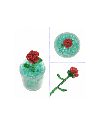 Mini rosa 