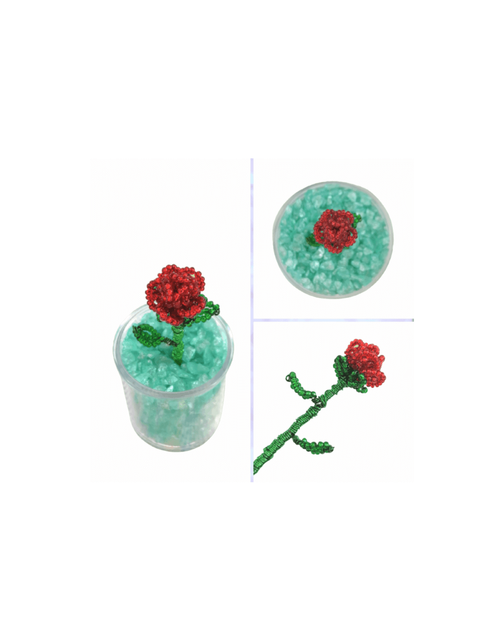 Mini rosa 