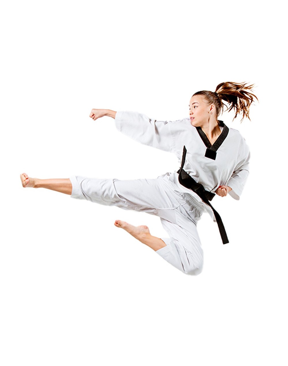 Taekwondo  zona norte