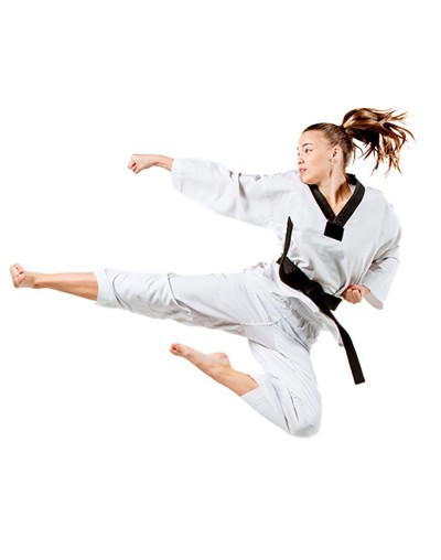 Taekwondo sede terreros