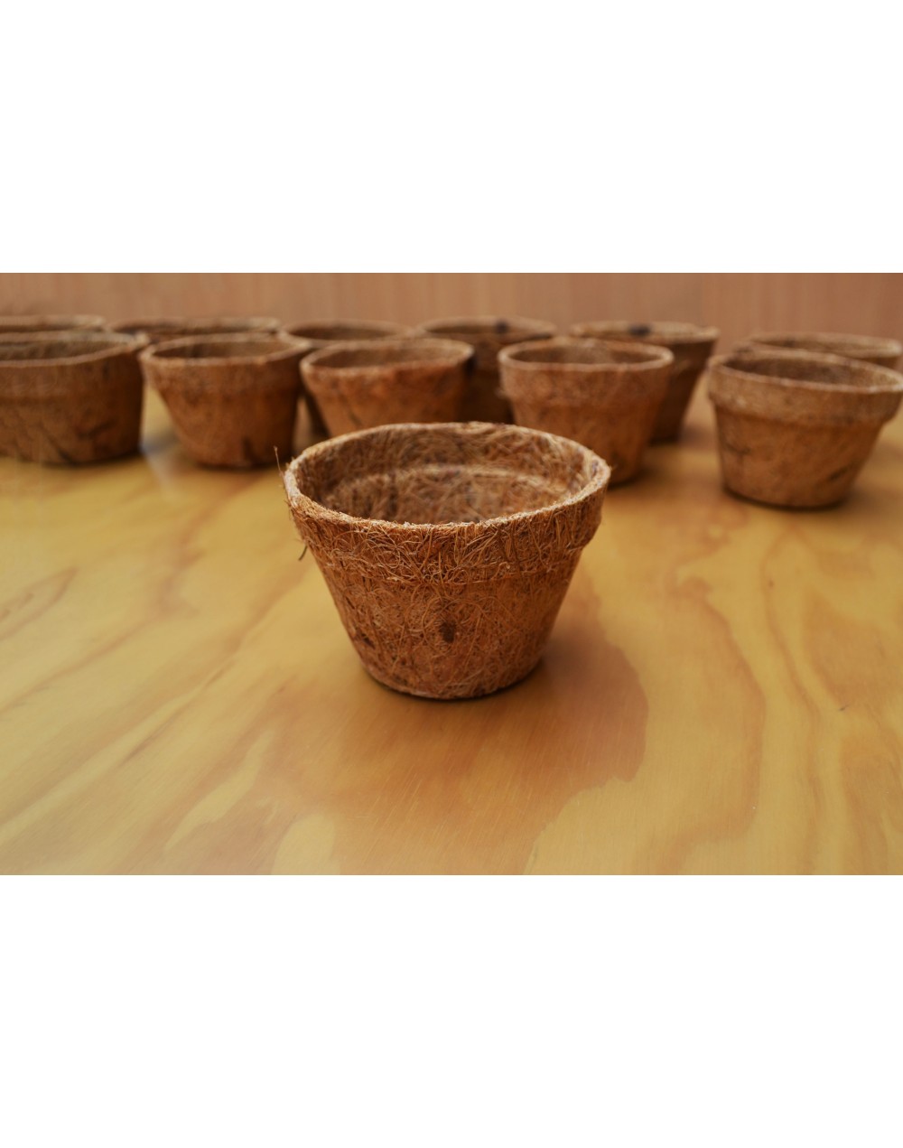Materas Biodegradables en Fibra de Coco P10