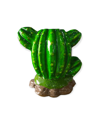 Matera cactus