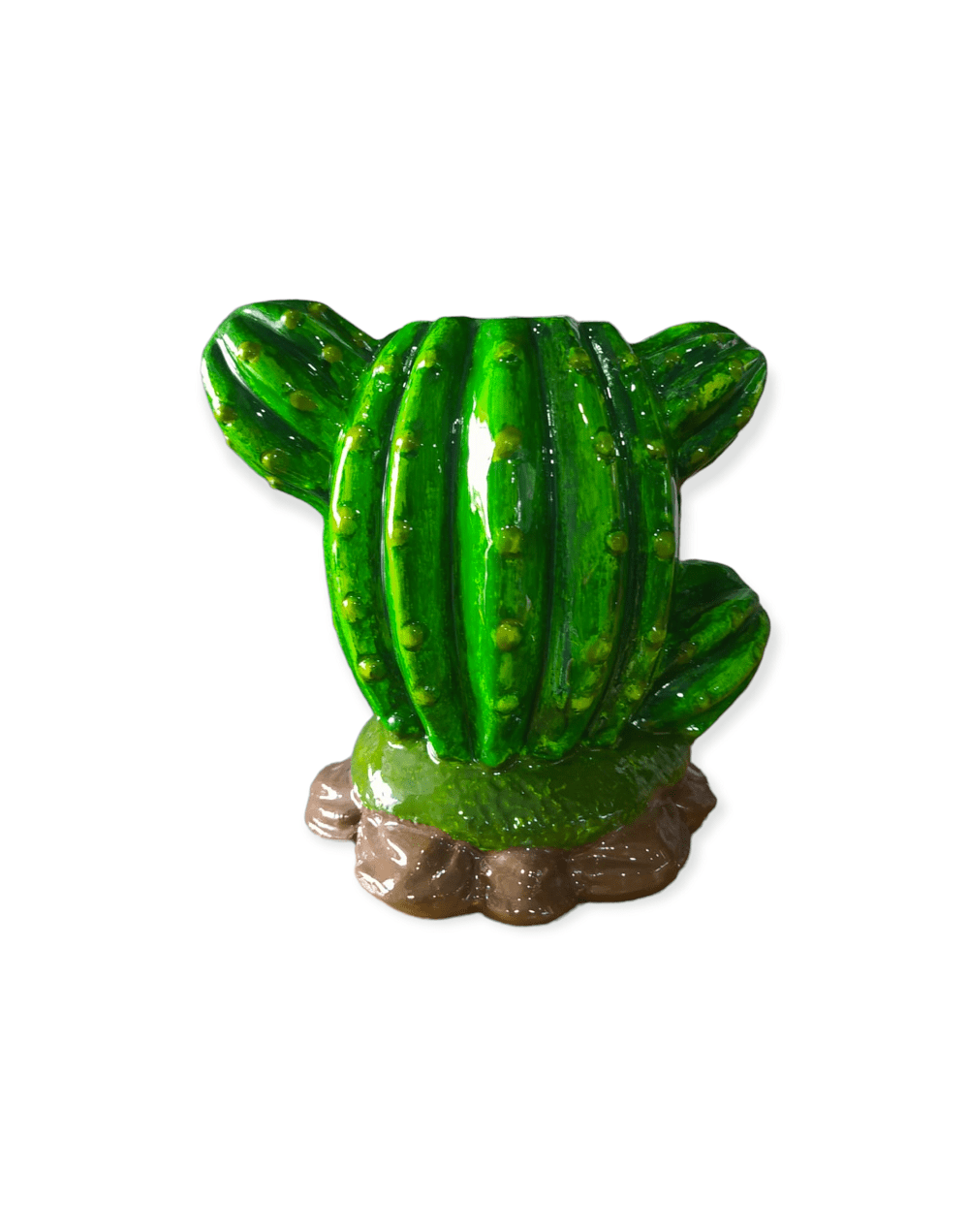 Matera cactus