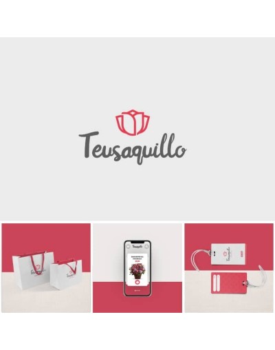 Diseño y desarrollo web