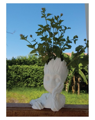 Groot creativo impresión 3D  Papel Plantable  Matera joyero portalápices
