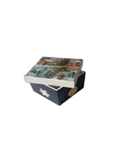 Caja portal norte