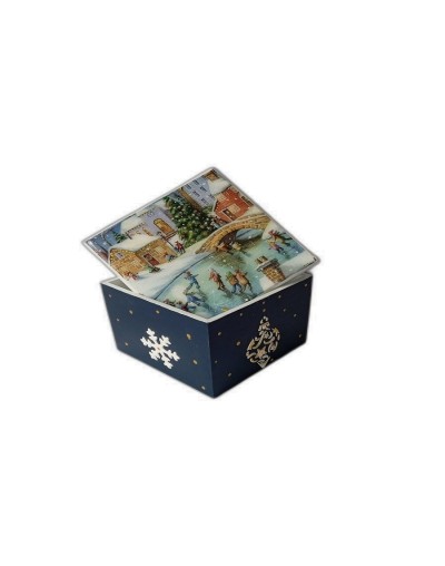Caja portal norte
