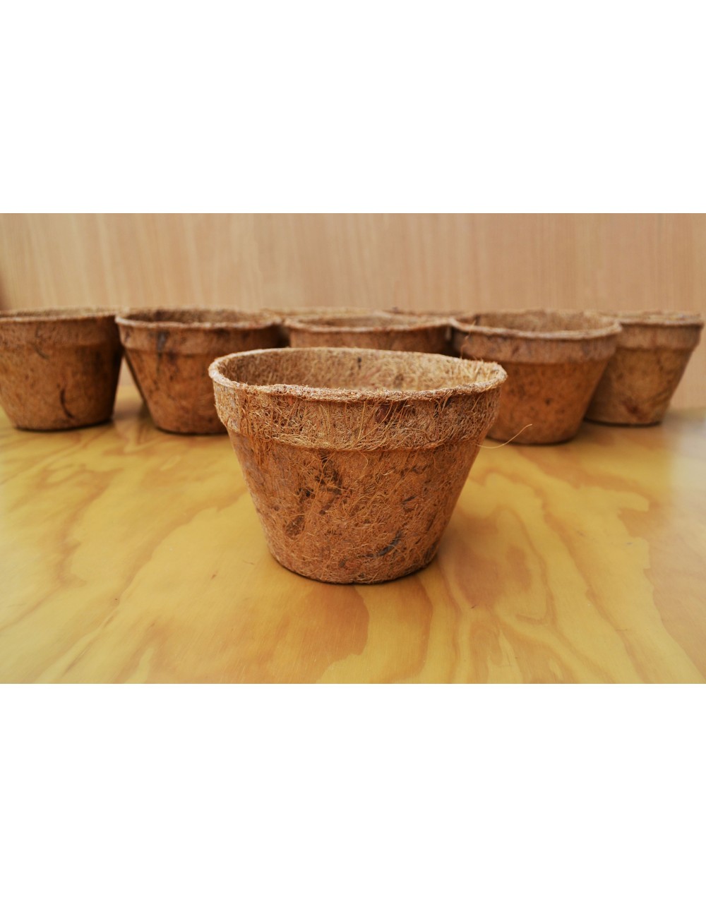 Materas Biodegradables en Fibra de Coco P14