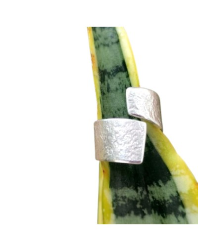 Anillo elotoño