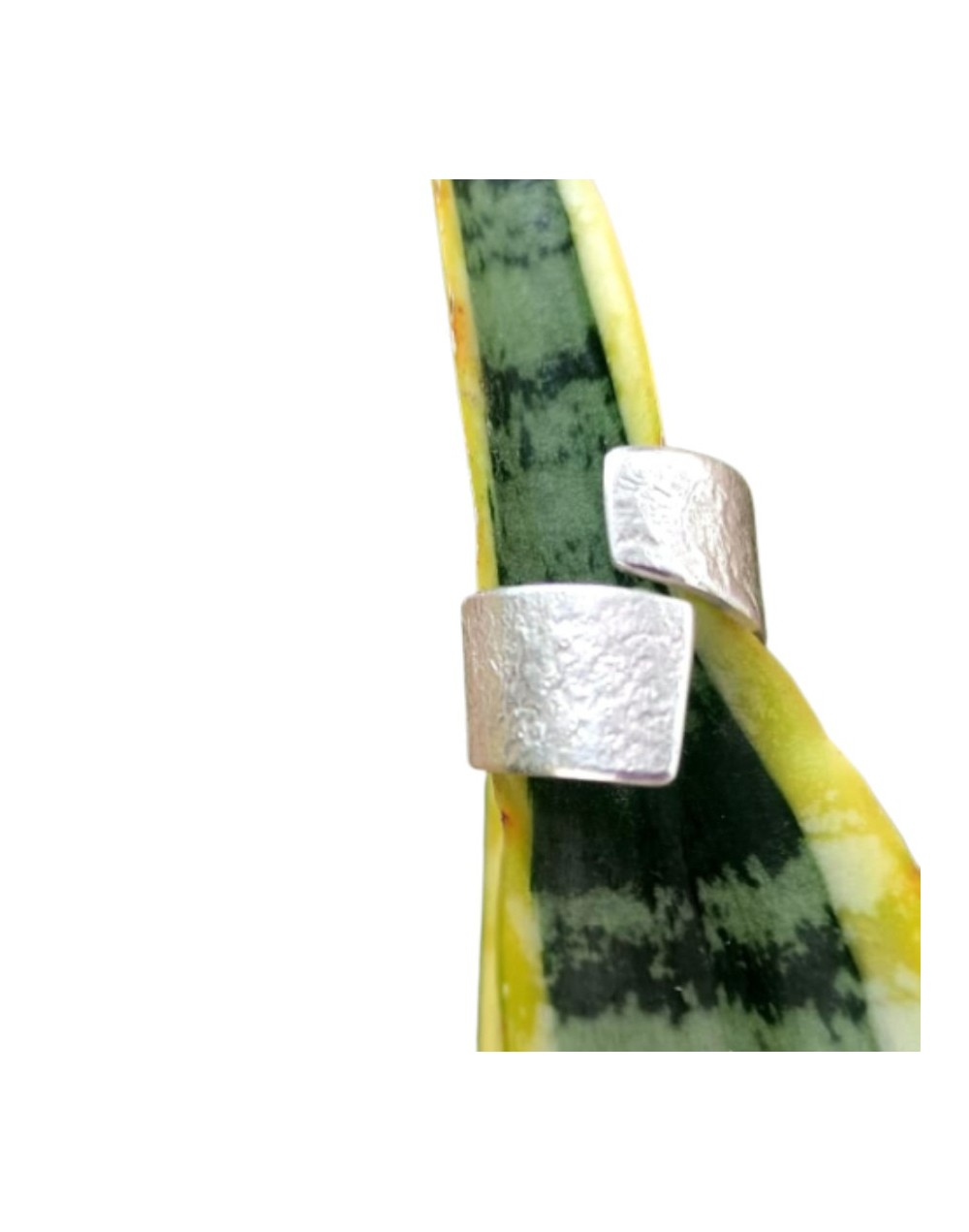 Anillo elotoño