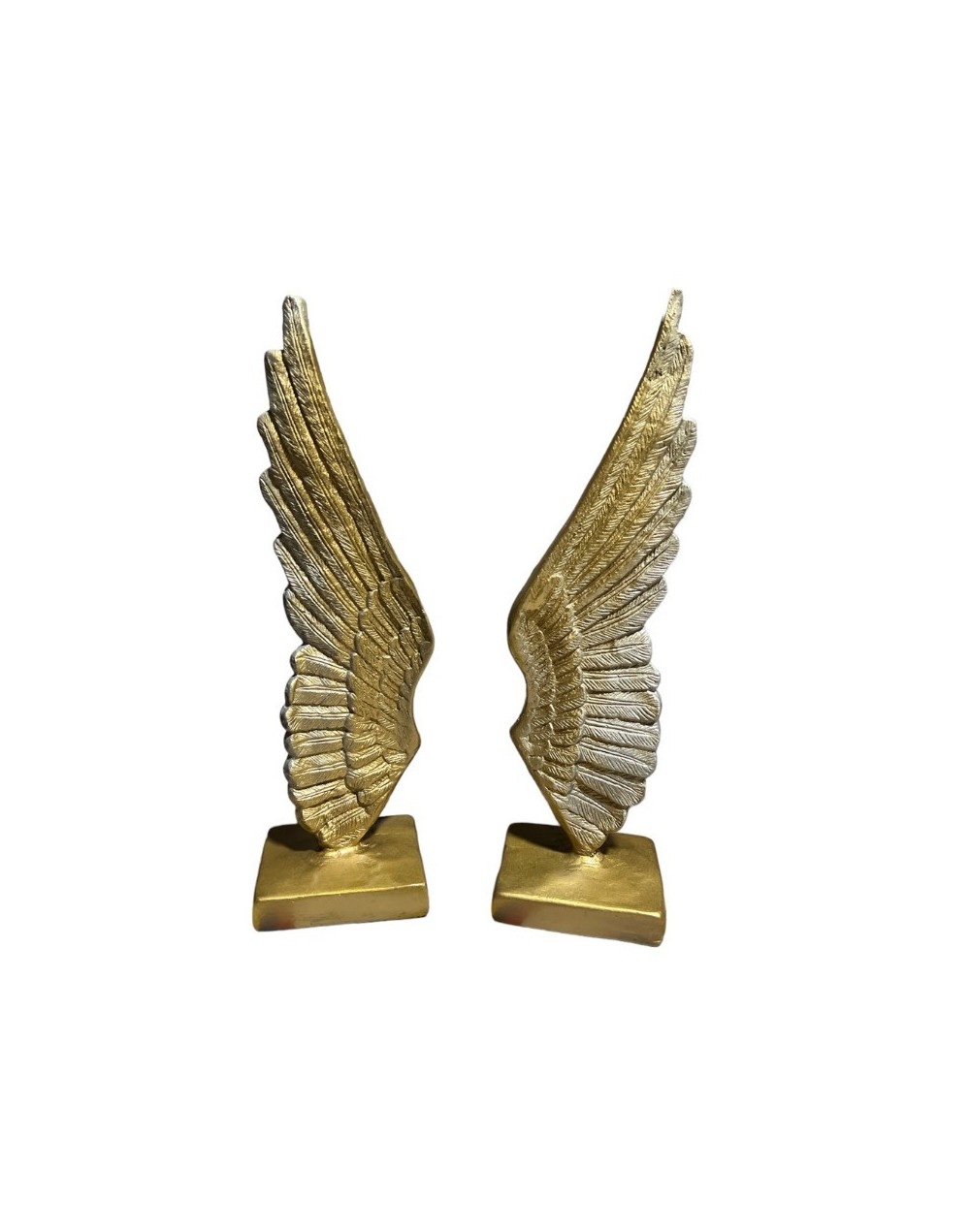 Alas angelicales 