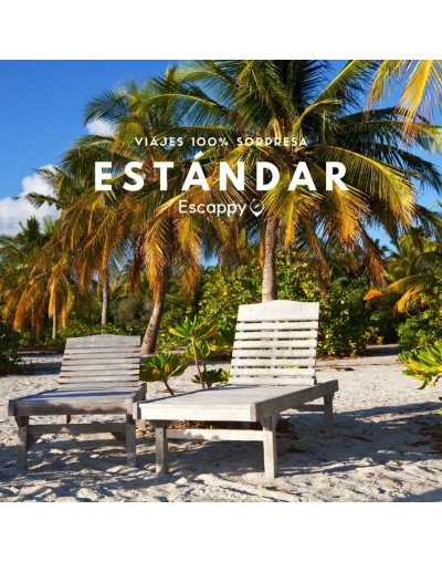 Viajes sorpresa estándar 
