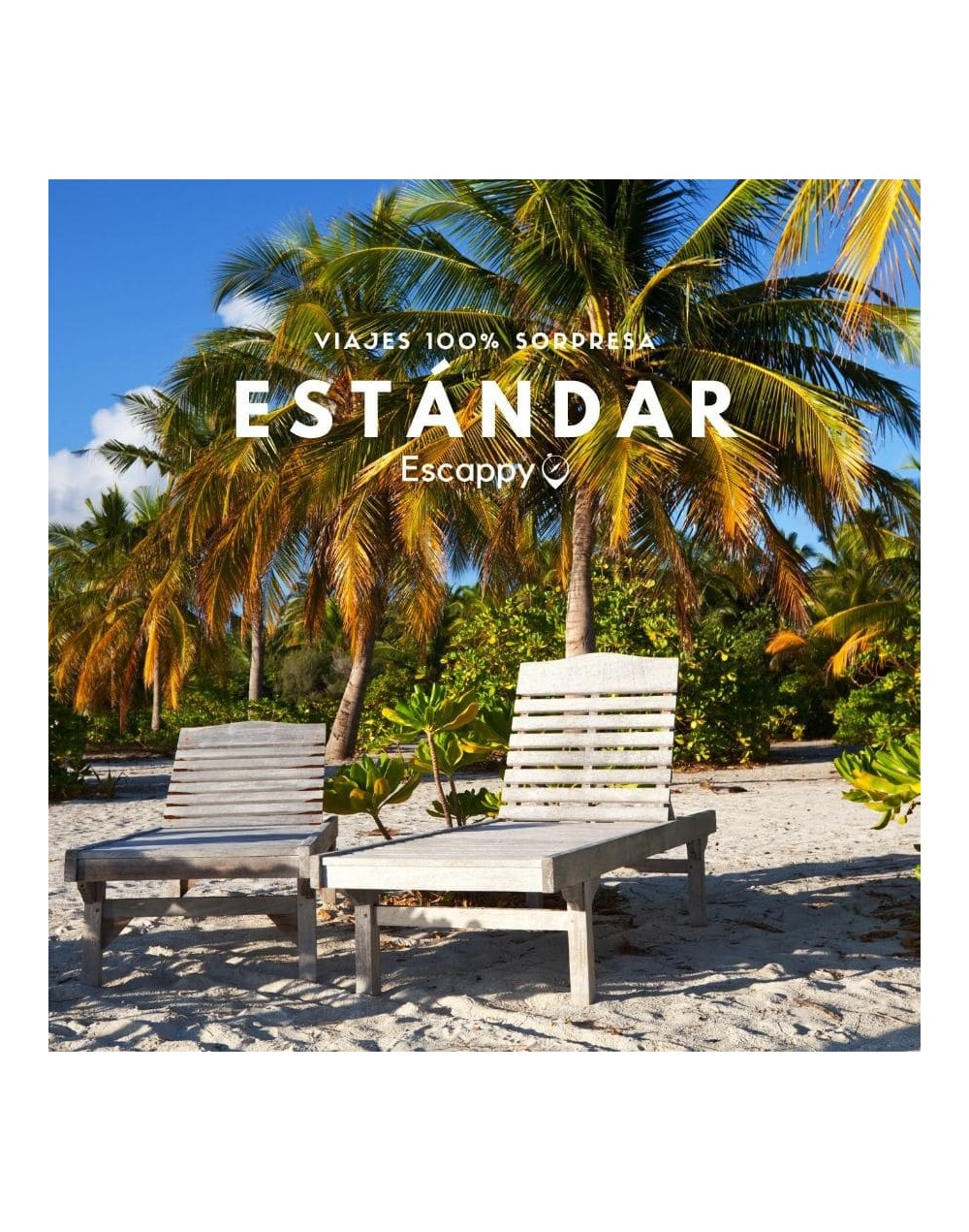 Viajes sorpresa estándar 