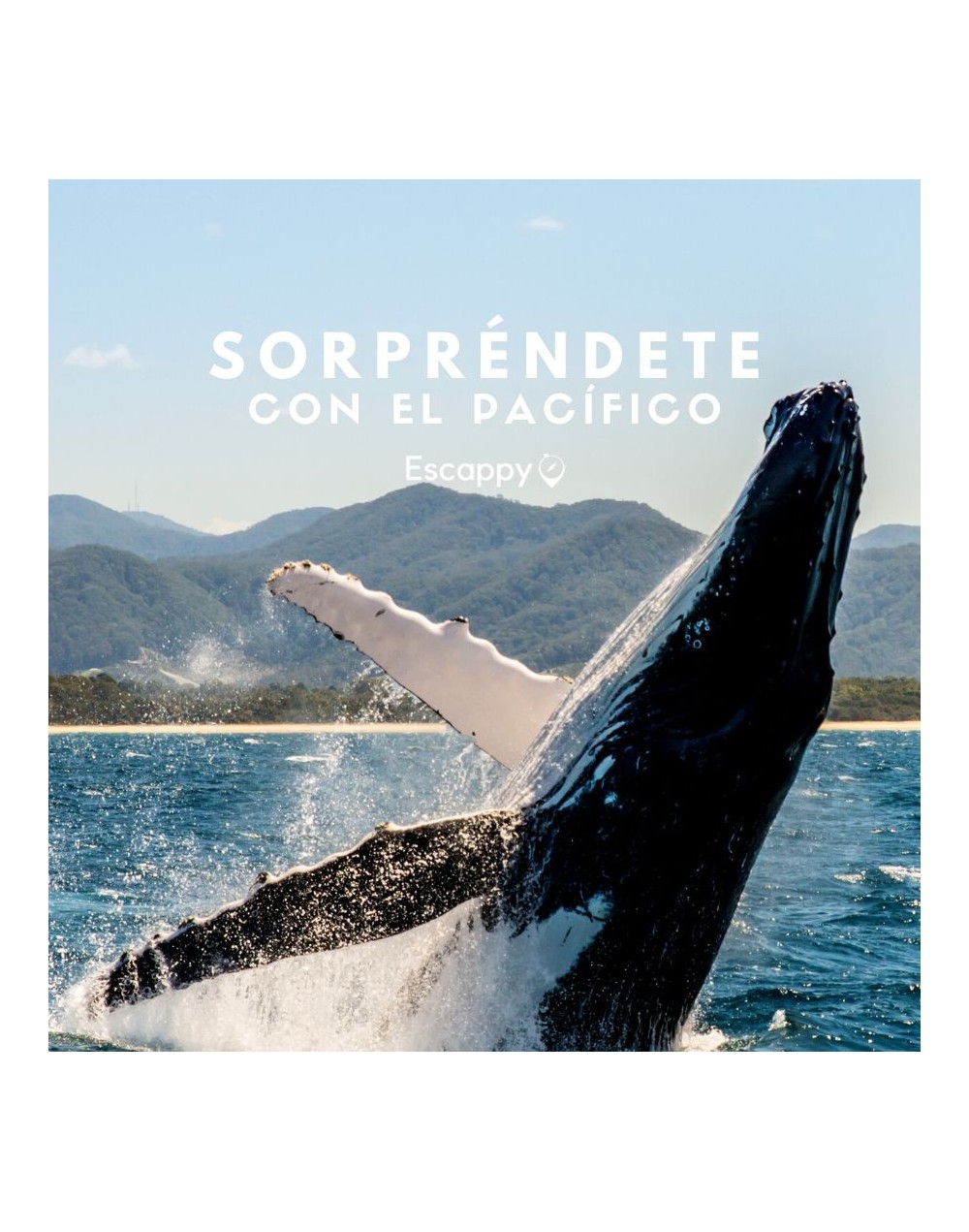 Sorpréndete con el pacífico