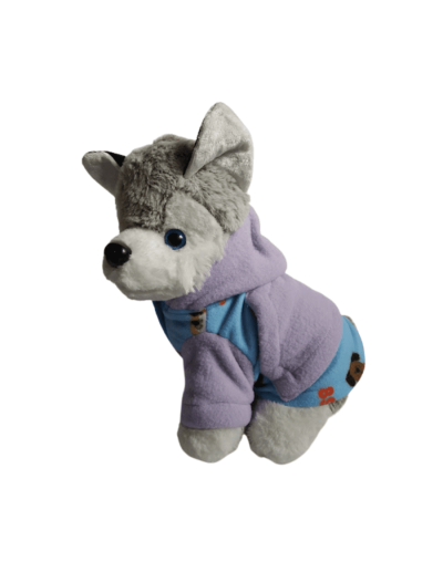Abrigo para mascotas