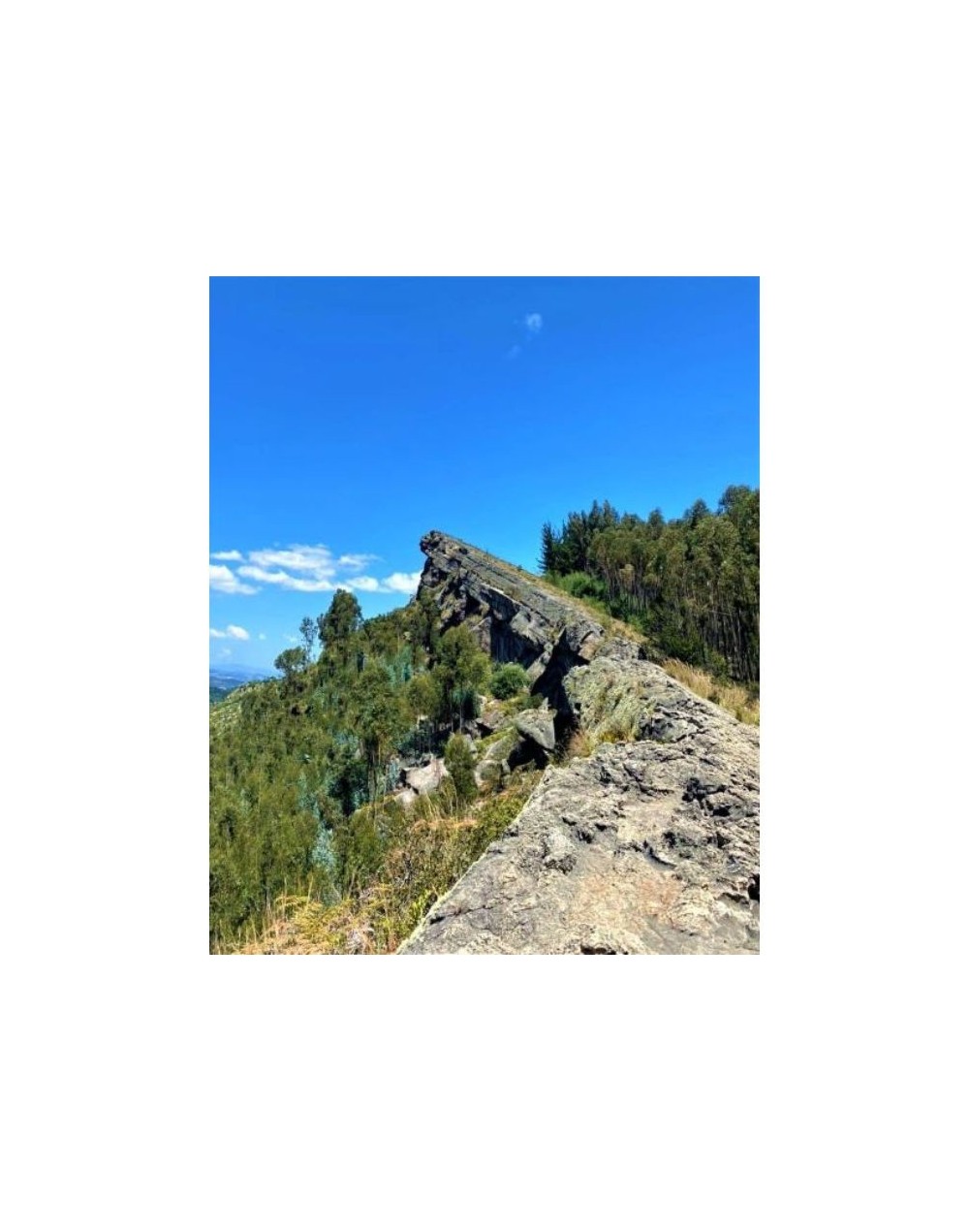 Celebra el día de la mujer en la montaña 4 de marzo