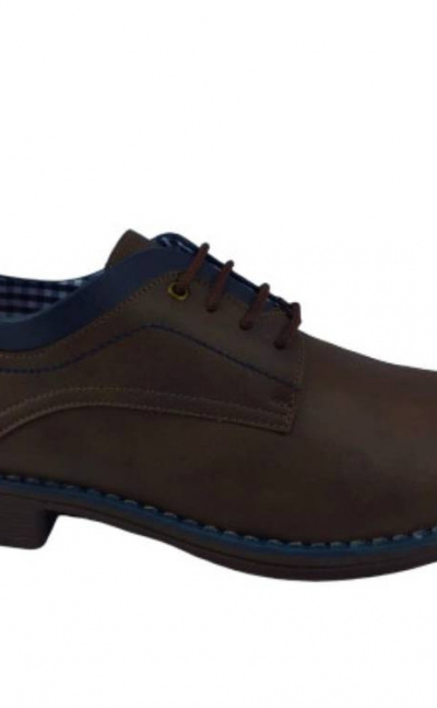 Zapatos 9066 café x azul