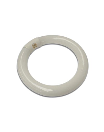 Tubo flourescente circular 22w