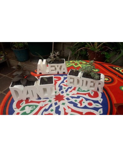Materas personalizadas con suculenta