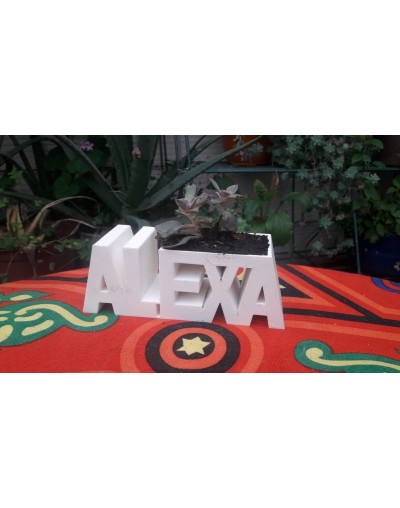 Materas personalizadas con suculenta