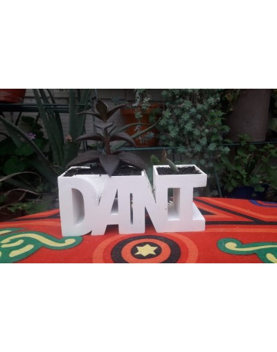 Materas personalizadas con suculenta