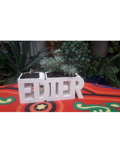 Materas personalizadas con suculenta