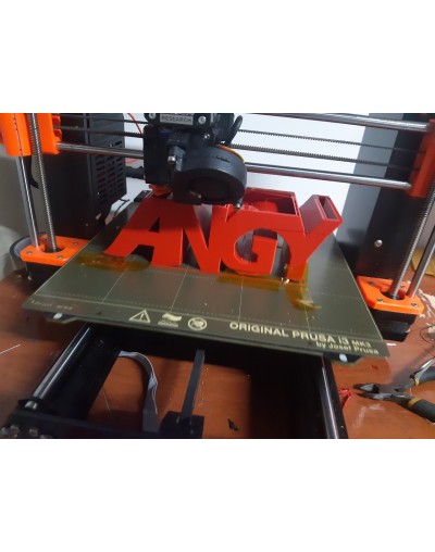 Materas personalizadas con suculenta