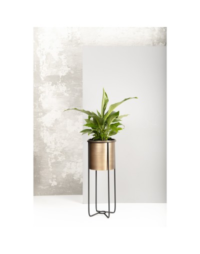 MATERA IKE50CM