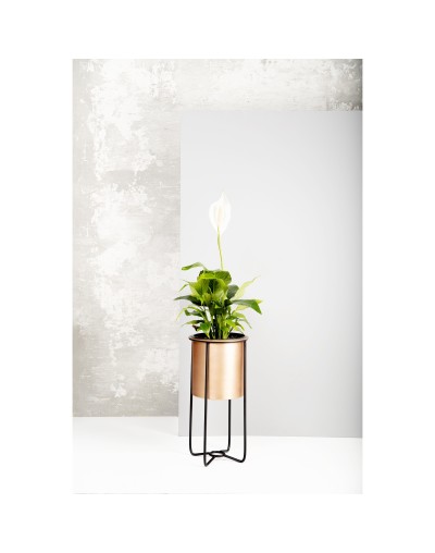MATERA IKE40CM