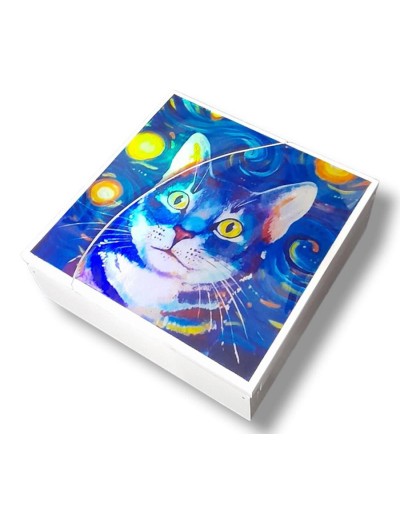 Caja 18 x18