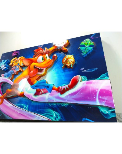 Cuadro Crash Bandicoot  Viverarte