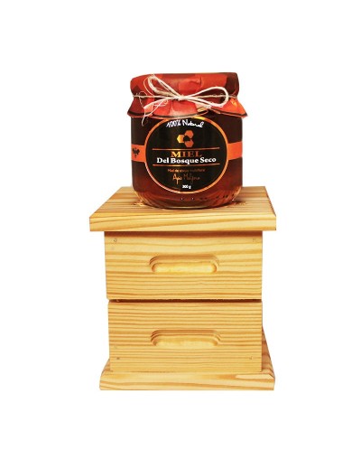 Colmena Hogar De Abejas