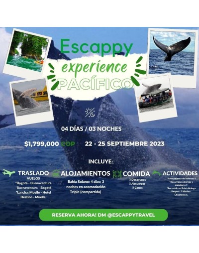 Escappy experience al pacifico
